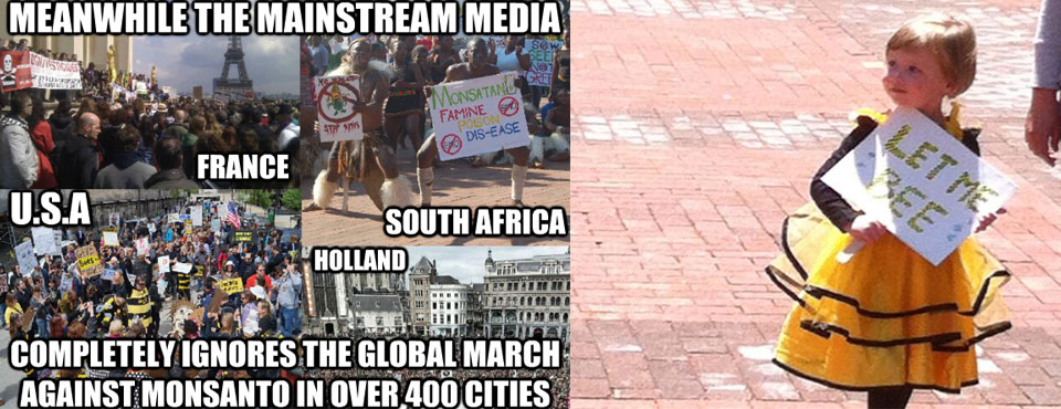 March-againt-Monsnato-May-25.jpg