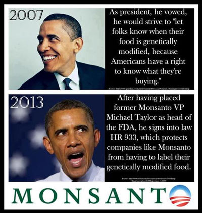 Monsanto-Obama