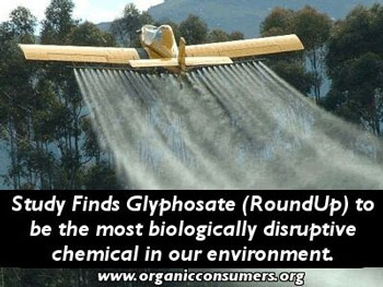glyphosate-linked-to-breast-cancer-sick-people-have-high-levels-of-glyphosate-in-their-urine