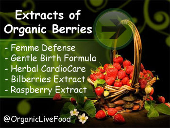 -beneficios para la salud-de-moras-berries
