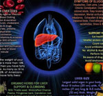 liver-diet-herbs