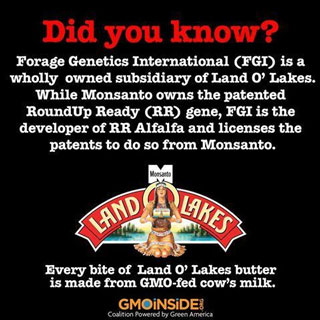margarine-butter-health-toxic-GMO