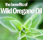 oregano oil powerful painkiller