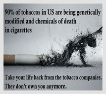 pesticides-chemicals-GMO-in-cigarettes