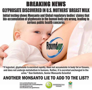 The result of a study conducted by Moms Across America and Sustainable Pulse, with support from Environmental Arts & Research, shows that the active ingredient in world’s number one herbicide Roundup is now found in the breast milk of women across U.S.