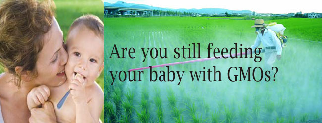 GMO-soy-in-infant-formula