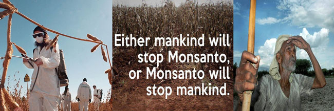 STOP MONSANTO