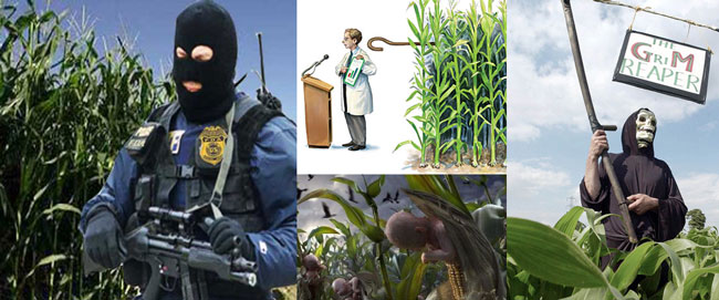 abuse-of-scientists-about-GMO