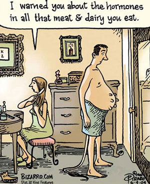 Bovine-Growth-Hormone-rBGH-rBST