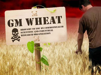 Class action Lawsuit against Monsanto zombie wheat return of the walking bread