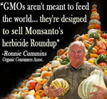 GMO-health-risks