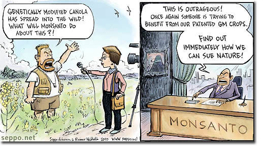GMOs threaten the biodiversity
