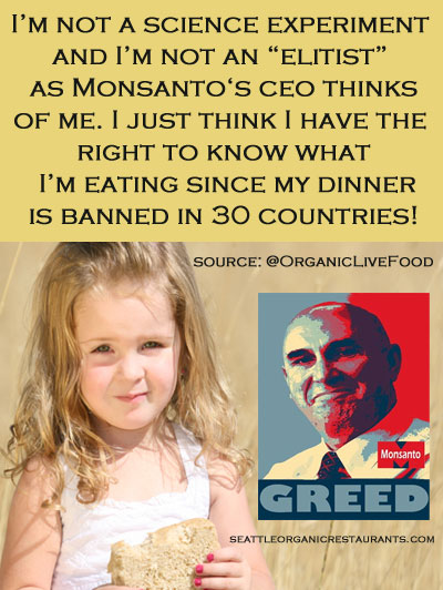 Monsantos-CEO-calls-GMO-activists-elitist
