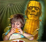 agribusinesses-chemical-companies-sue-Hawaii-anti-GMO-regulation