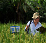 biofortification-conventional-plant-breeding-benefits-GMO