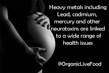 cadmium-toxicity-is-linked-with-development-of-bone-diseases-osteoporosis-osteomalacia-health