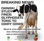 chemicals-antibiotics-in-milk-glyphosate-toxic-to-dairy-cows