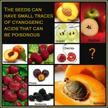 fruit-nutrition-seeds-skin
