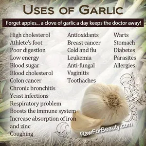 eat-to-beat-diseases-like-cancer-healing-power-of-garlic