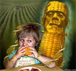gene-of-genetically-modified-foods-can-be-transferred-into-human-blood-DNA
