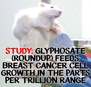 glyphosate-linked-to-breast-cancer-chronically-sick-people-have-high-level-of-glyphosate-in-their-urine