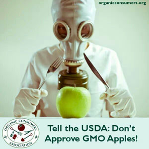 gmo-apple-wont-brown-mcdonalds-gerber-say-no-to-gmo-apple