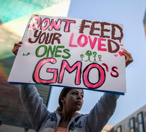 gmo-substantial-equivalence-failed