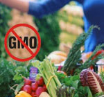 gmo-supporters-deception