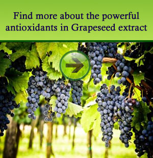 grapeseed extracts health benefits