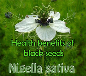 health-benefits-of-black-cumin-seed-Nigella-sativa-seed-extract