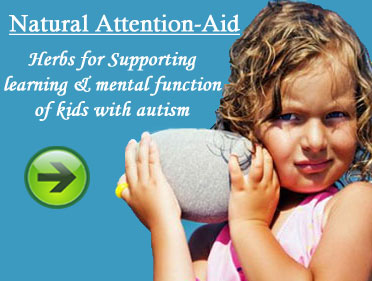 Support learning and mental function of kids with autism 