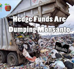 investors-insider-traders-hedge-funds-are-dumping-monsanto-company-stocks-GMO
