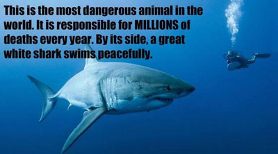 lower-risk-of-exposure-to-Fukushima-radiation-health