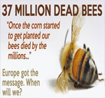 neonicotinoids-pesticides-colony-collapse-of-honeybees-suppressing-immune-system