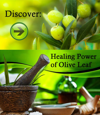 olive-leaf-herbal-extract-candidiasis-yeast-fungal-infection
