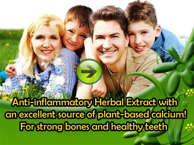 plant-based calcium