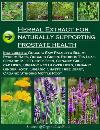 prostate-cancer-diet-herbs