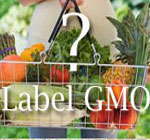 Ttop-20-genetically-modified-foods