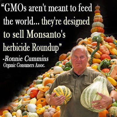 GM-foods