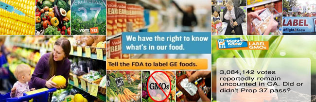 GMO-war-label