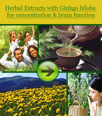 Ginkgo-biloba-concentration-and-brain-function
