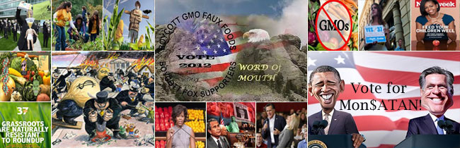 Obama-Rromney-GMO-Monsanto