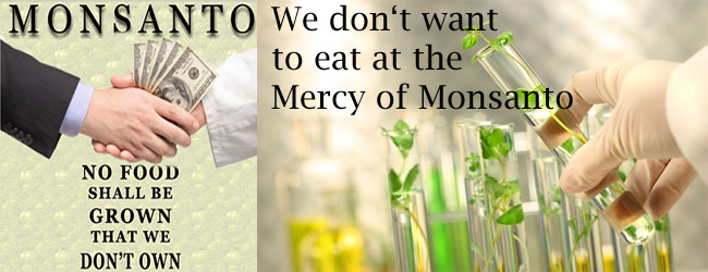 War-against-the-Organic-Industry-by-Monsanto