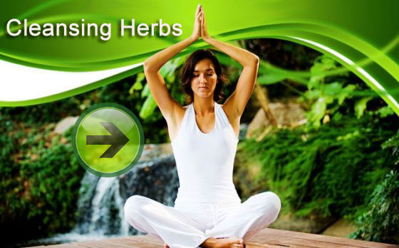 cleansing-herbals