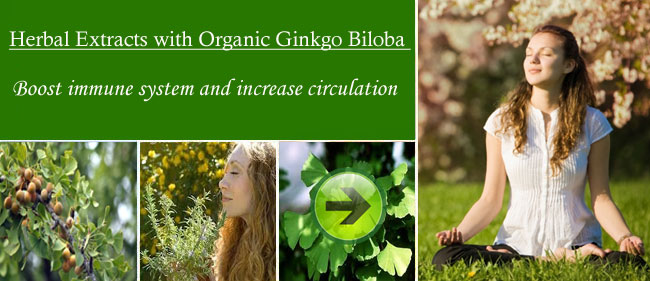 ginkgo-biloba-herbal-extract