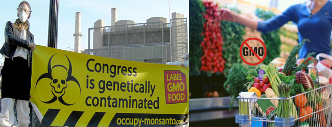 gmo-FDA-congress
