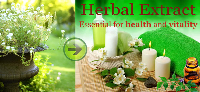 herbal-extract-mountainmeadow-herbs