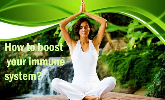 improve-immune-system-herbal-extract