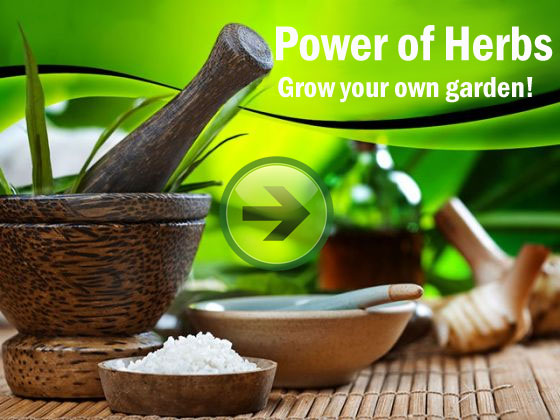 mountain-meadow-herbs-herbal-extracts