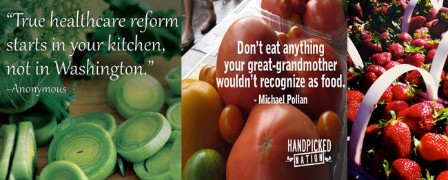 organic-farming